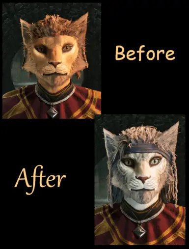 "Femjiit" Comparison