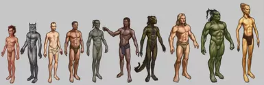 Racial Body Morphs