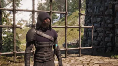 Purple cowl/hood. 2006 Oblivion inspired.