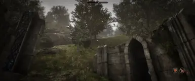 With Reshade