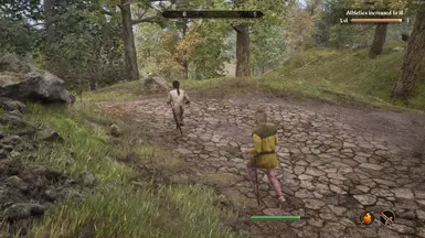 Quest NPCs Run