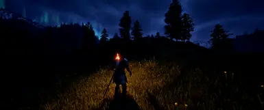 Lights &amp; Landscapes + Rabbit's Realistic Oblivion Reshade
