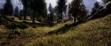 Lights &amp; Landscapes + Rabbit's Realistic Oblivion Reshade