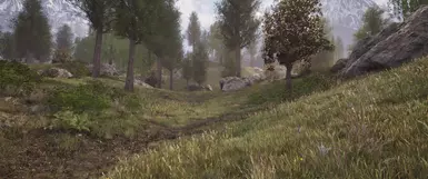 vanilla