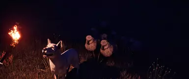 Anvil flock