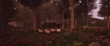 Jenseric Cabin