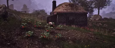 Weye Farm