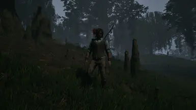 Imperial Forester Example - Warm Climate