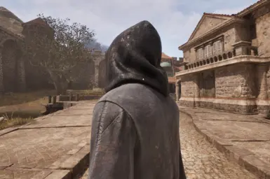 Grey Hood Before