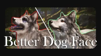 Better Dog Face