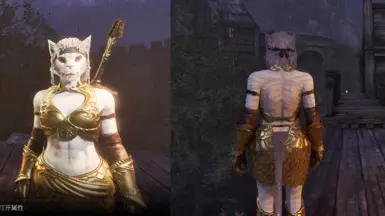 Look Lighter Female Golden Saint Armor(NBO and Default body)