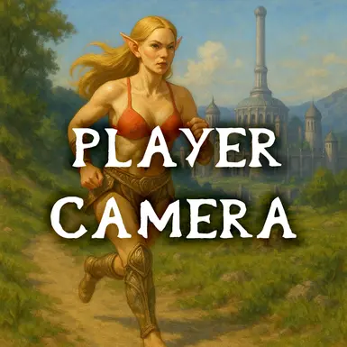 Player Camera - Stop Looking at My Back