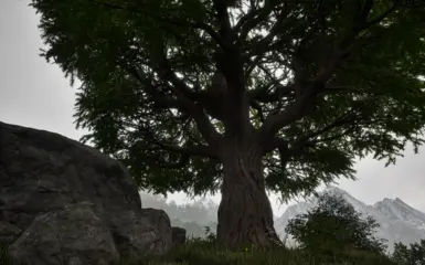 Reshade Off