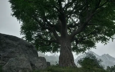 Reshade On