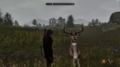 Have you heard of the High Elves?