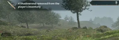 First message indicating that the 4 Level 10 Shadowrends were auto-removed from my inventory