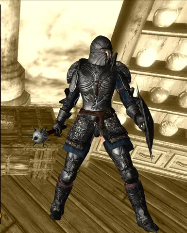 Oblivion og Version