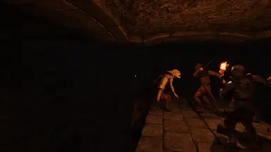 Combat