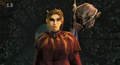 1.3 Face