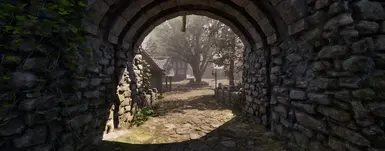 Leyawiin Gate