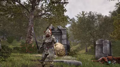 Umbra set