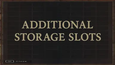Additional Storage Slots