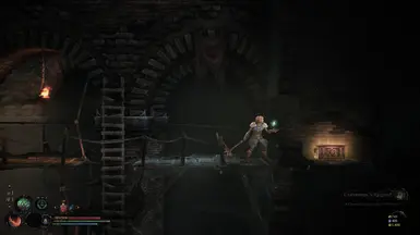 No Fall Damage