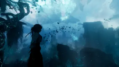 reshade OFF