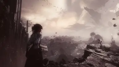 reshade ON