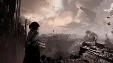 reshade OFF