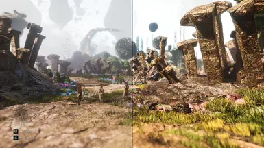 Before &amp; After Comparison