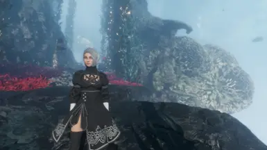 2B Maelle