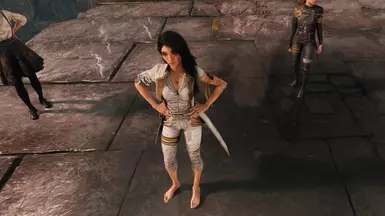 840_Expedition Outfit (Pure) - Shirt and right gauntlet have been removed.