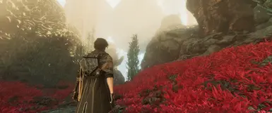 Vanilla