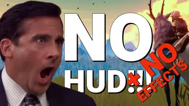 No-HUD-No-Effects