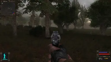 Larger FOV in ironsight