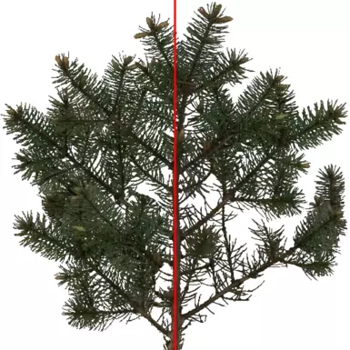 Smoother Flora Textures