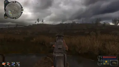 Reduced Iron Sight Zoom