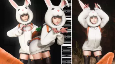 Moon Rabbit Outfit