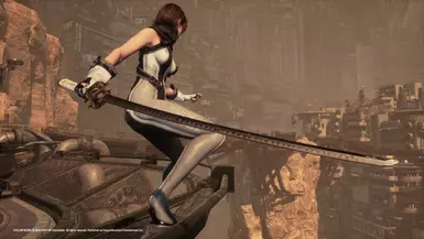 DMC5 Yamato