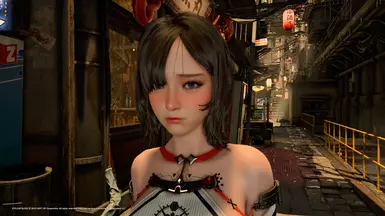 Without Reshade FXs