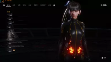 Attack Speed_Shield Recovery_Critical Rate_Critical Damage_Ammo Capacity Limit 9999