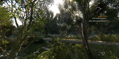 Enhanced Dying Light