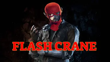 Flash Crane