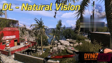 DL - Natural Vision (Color Correction)