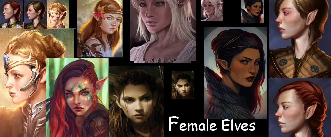pillars of eternity portraits female elf sexy pillars of eternity portraits female elf sexy