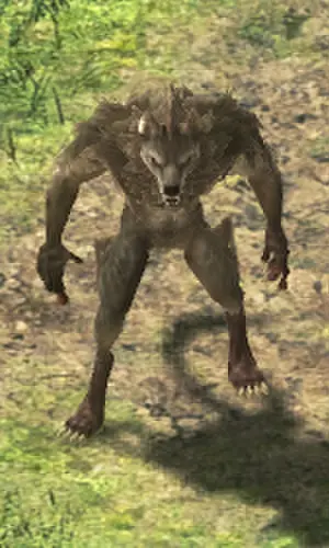 Wolf (example)
