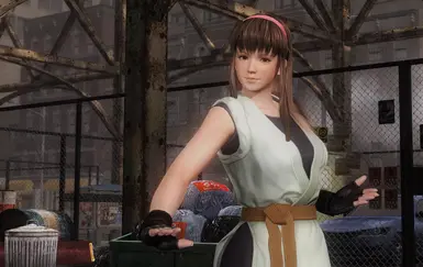 Dead or Alive 5