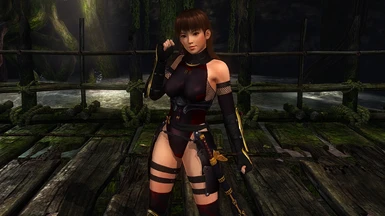 Leifang with Ayane's Ninja Outfit