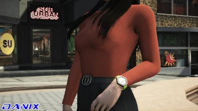 DNX Clothes - Turtleneck Sweater for MP Female